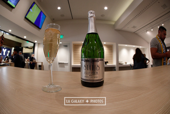03.31.2019_LAGalaxyvsPortland_GA0049
