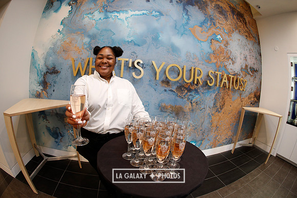03.31.2019_LAGalaxyvsPortland_GA0157