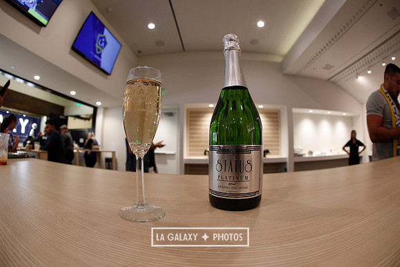 03.31.2019_LAGalaxyvsPortland_GA0043
