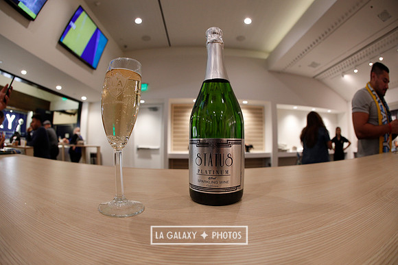 03.31.2019_LAGalaxyvsPortland_GA0047