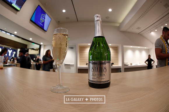 03.31.2019_LAGalaxyvsPortland_GA0040