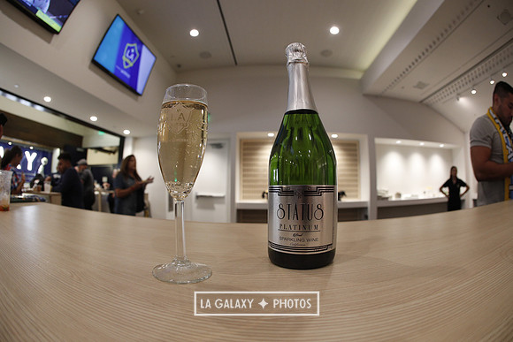 03.31.2019_LAGalaxyvsPortland_GA0038