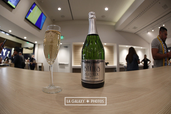 03.31.2019_LAGalaxyvsPortland_GA0046
