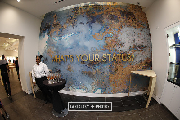 03.31.2019_LAGalaxyvsPortland_GA0006