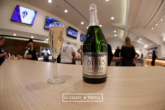 03.31.2019_LAGalaxyvsPortland_GA0070