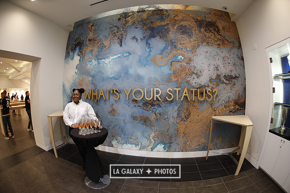 03.31.2019_LAGalaxyvsPortland_GA0008