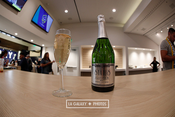 03.31.2019_LAGalaxyvsPortland_GA0039