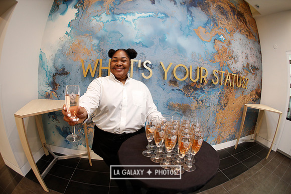 03.31.2019_LAGalaxyvsPortland_GA0163