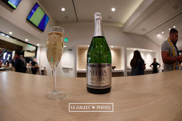 03.31.2019_LAGalaxyvsPortland_GA0045