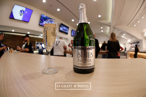 03.31.2019_LAGalaxyvsPortland_GA0072