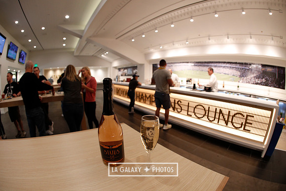 03.31.2019_LAGalaxyvsPortland_GA0123