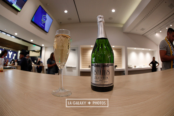 03.31.2019_LAGalaxyvsPortland_GA0041