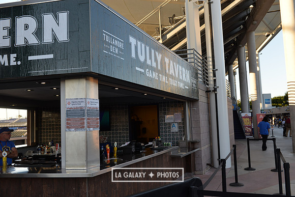 0316019_LAGalaxy_vs_MinnesotaUnitedFC_SC_0320