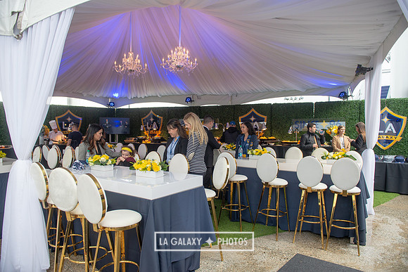 03022019_LAGalaxy_vs_ChicagoFire_SC_0228