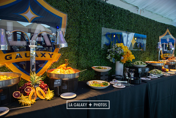 03022019_LAGalaxy_vs_ChicagoFire_SC_0199