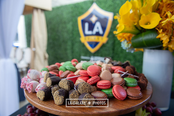 03022019_LAGalaxy_vs_ChicagoFire_SC_0206