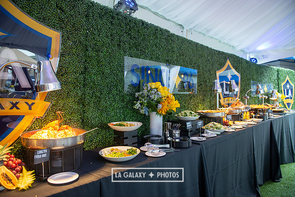 03022019_LAGalaxy_vs_ChicagoFire_SC_0200