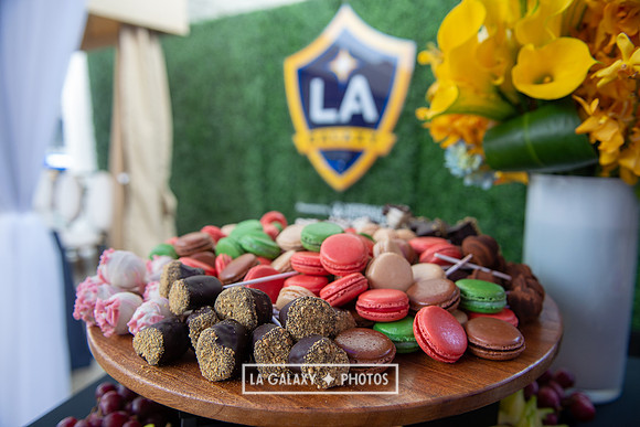 03022019_LAGalaxy_vs_ChicagoFire_SC_0207