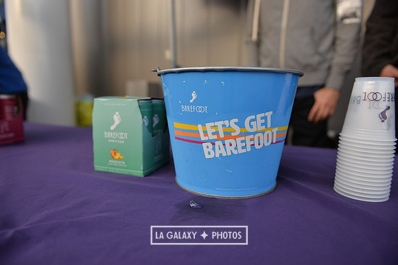 04192019_LAGalaxy_vs_HoustonDynamo_SC_0013