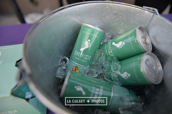 04192019_LAGalaxy_vs_HoustonDynamo_SC_0015