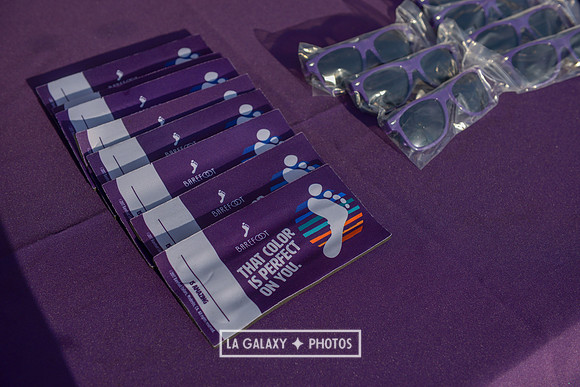 08242018_LAGalaxyvsLAFC_SC_0086-2