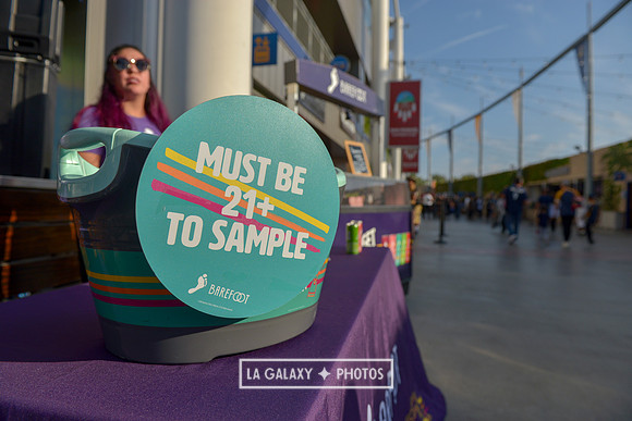 08242018_LAGalaxyvsLAFC_SC_0079-2