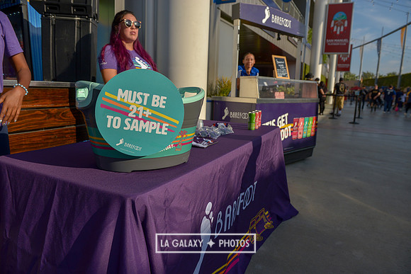 08242018_LAGalaxyvsLAFC_SC_0080-2