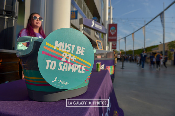 08242018_LAGalaxyvsLAFC_SC_0078-2