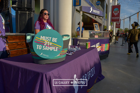 08242018_LAGalaxyvsLAFC_SC_0083-2