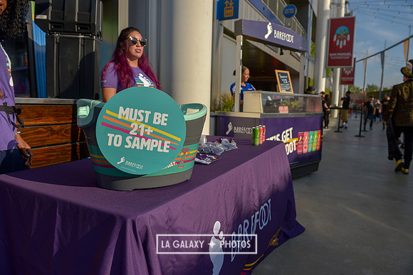 08242018_LAGalaxyvsLAFC_SC_0081-2