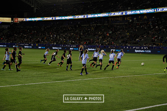 060219_LAGalaxyvsRevolution_GA_0314