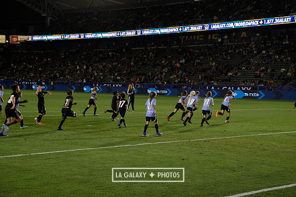 060219_LAGalaxyvsRevolution_GA_0318