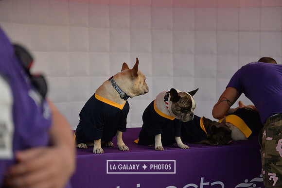 00212019_LAGalaxy_vs_Montreal_SC_0242-2