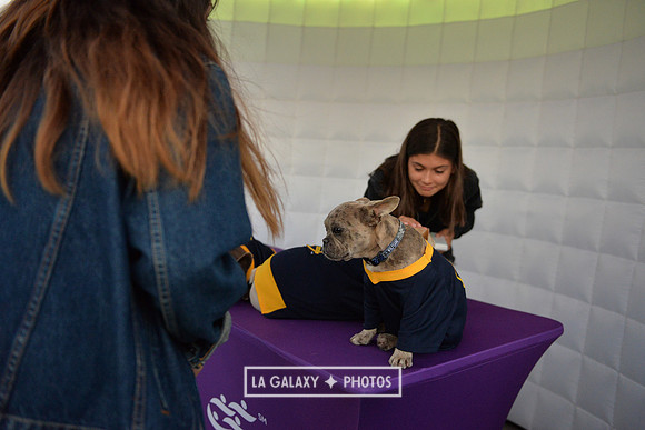 00212019_LAGalaxy_vs_Montreal_SC_0245-2