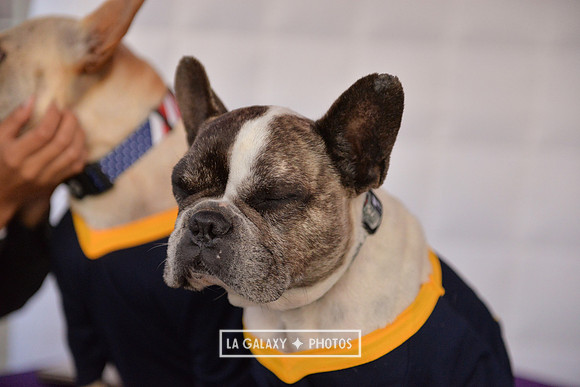 00212019_LAGalaxy_vs_Montreal_SC_0267-2