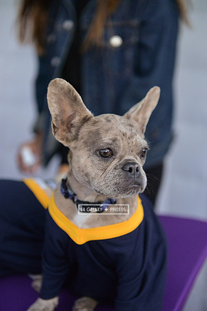 00212019_LAGalaxy_vs_Montreal_SC_0259-2