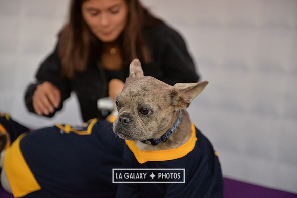 00212019_LAGalaxy_vs_Montreal_SC_0244-2