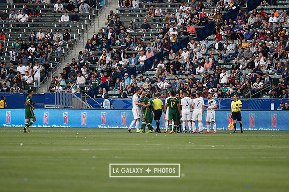 03.31.2019_LAGalaxyvsPortland_GA3301