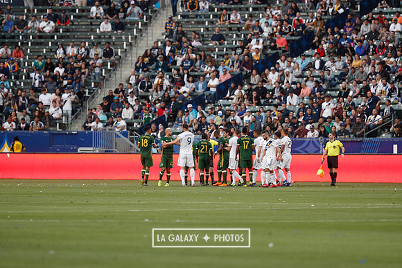 03.31.2019_LAGalaxyvsPortland_GA3315