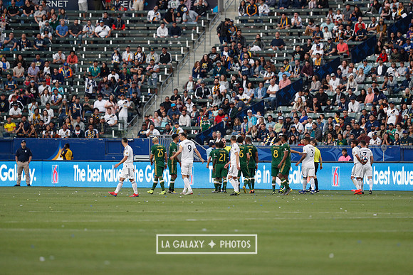 03.31.2019_LAGalaxyvsPortland_GA3328