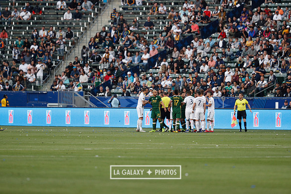 03.31.2019_LAGalaxyvsPortland_GA3299