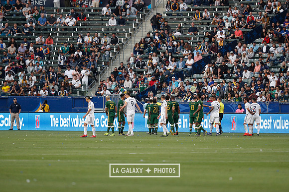 03.31.2019_LAGalaxyvsPortland_GA3327