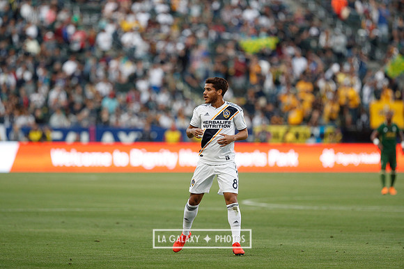 03.31.2019_LAGalaxyvsPortland_GA3162