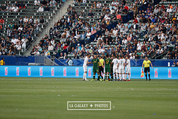 03.31.2019_LAGalaxyvsPortland_GA3298