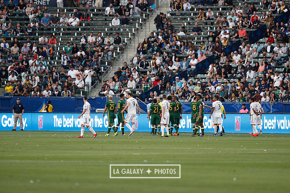 03.31.2019_LAGalaxyvsPortland_GA3330
