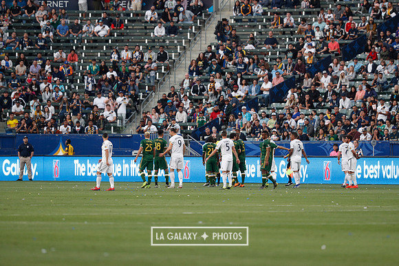03.31.2019_LAGalaxyvsPortland_GA3333