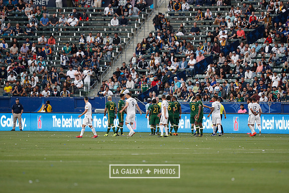 03.31.2019_LAGalaxyvsPortland_GA3329