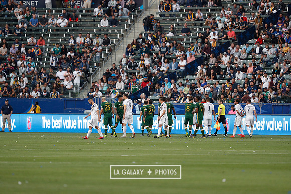 03.31.2019_LAGalaxyvsPortland_GA3326