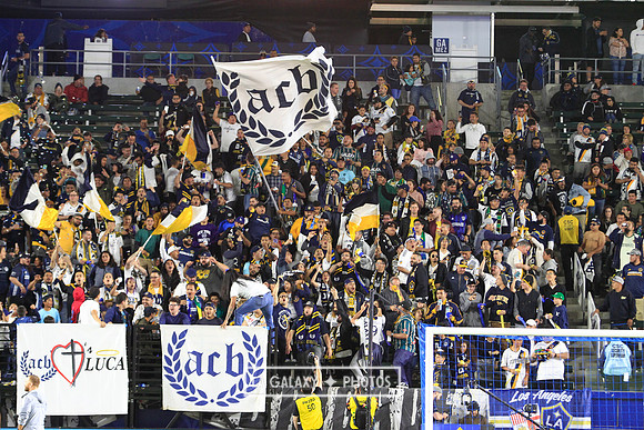 04.19.2019_LAGalaxyvsHouston_GA2076