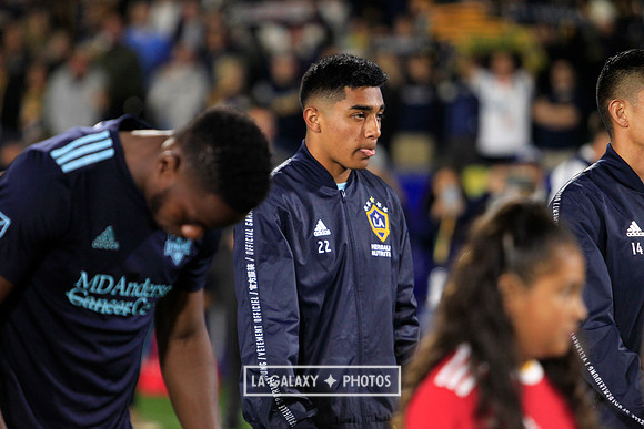 04.19.2019_LAGalaxyvsHouston_GA2169